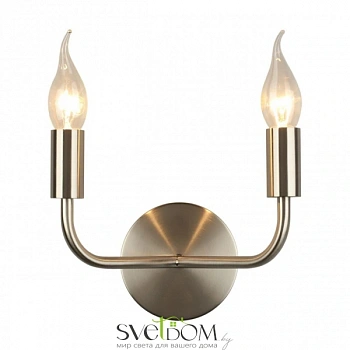 Светильник настенный (Бра) Aployt  APL.338.01.02