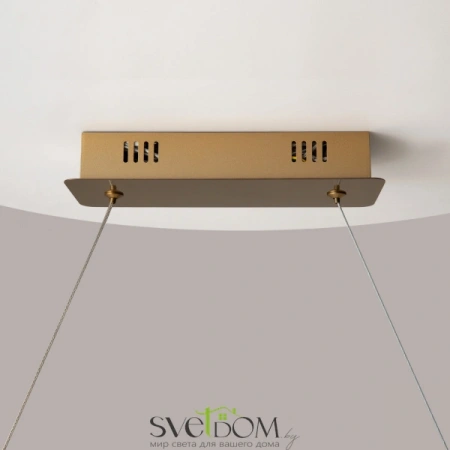 Подвесные светильники Maytoni P097PL-L36BS3K от Магазина Svetdom.by