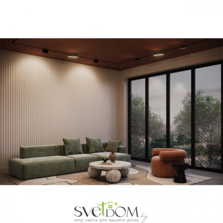 TR077-2-10W4K-B Maytoni