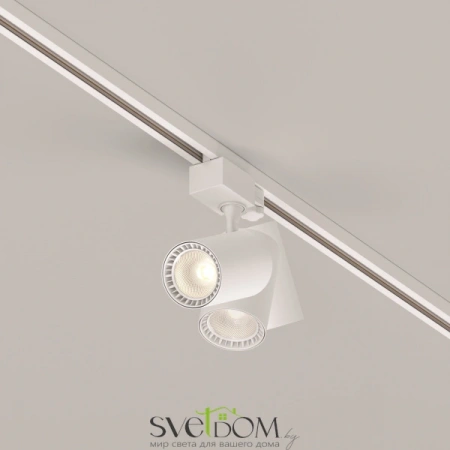 TR029-3-10W3K-S-W Maytoni