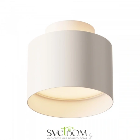 Потолочные светильники Maytoni C009CW-L12W от Магазина Svetdom.by