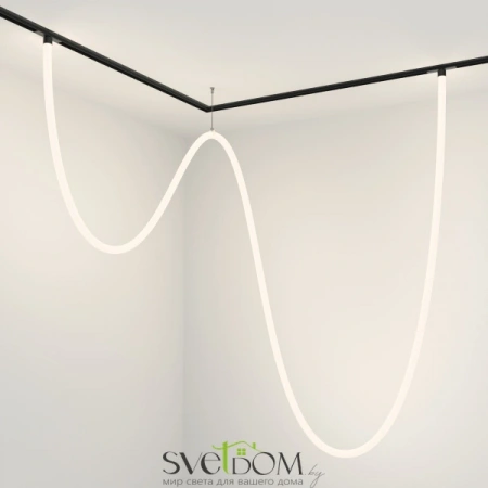 TR101-2-100W4K-B Maytoni