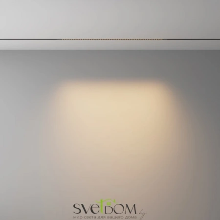 TR241-2-12W3K-B Maytoni