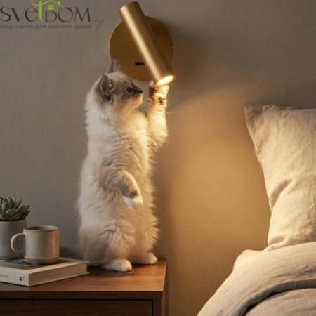 Бра CL704102 CITILUX | Svetdom.by