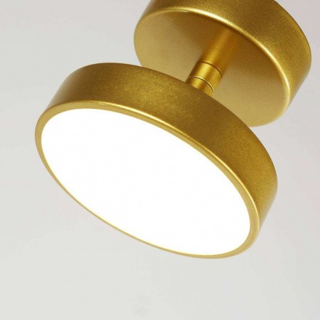 Потолочные светильники Favourite 3059-1P от Магазина Svetdom.by