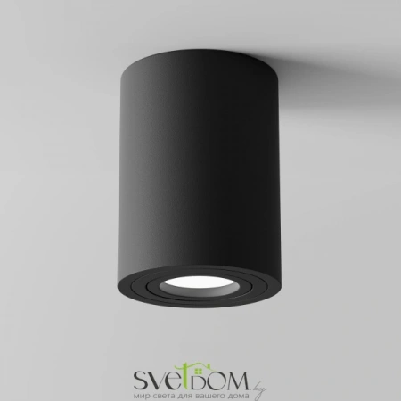 Потолочные светильники Maytoni C016CL-01B от Магазина Svetdom.by