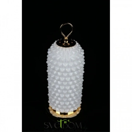 APL.332.04.10 Aployt