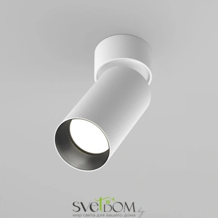 Потолочные светильники Maytoni C082CL-01-GU10-W от Магазина Svetdom.by