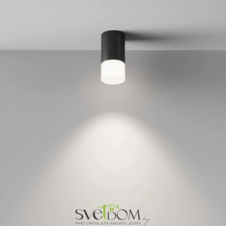 Потолочные светильники Maytoni C007CW-01B от Магазина Svetdom.by