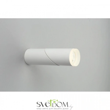 Накладные светильники Omnilux OML-100209-10 от Магазина Svetdom.by