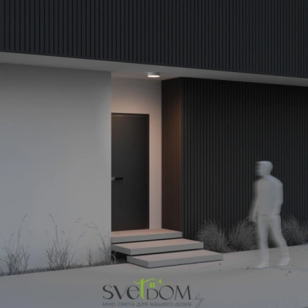 Потолочные светильники Maytoni O431CL-L30W3K от Магазина Svetdom.by