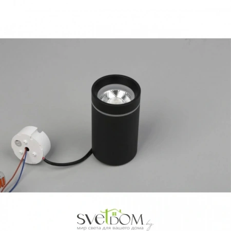 Накладные светильники Aployt APL.0053.19.10 от Магазина Svetdom.by