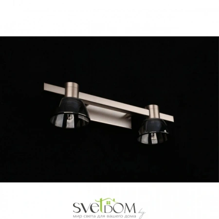 Настенные светильники APL.788.01.02 Aployt | Svetdom.by