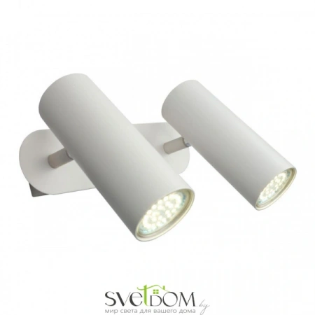 Настенные светильники APL.004.01.02 Aployt | Svetdom.by