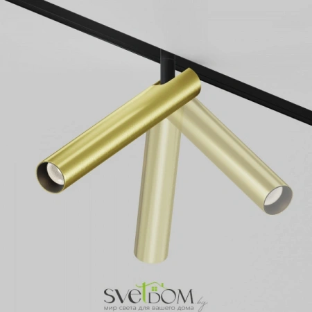 TR141-2-6W3K-M-BS Maytoni