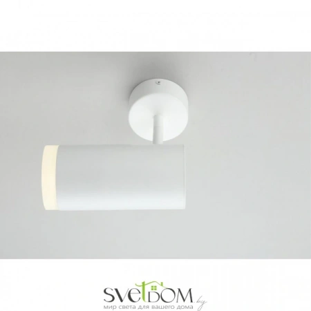 Настенно-потолочные светильники Omnilux OML-102609-20 от Магазина Svetdom.by