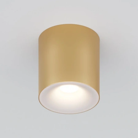 Потолочные светильники Maytoni C094-GU10-MG от Магазина Svetdom.by