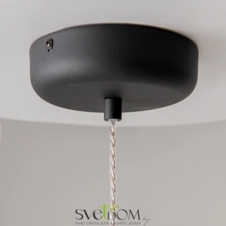 Подвесные светильники Maytoni MOD286PL-L18B3K от Магазина Svetdom.by