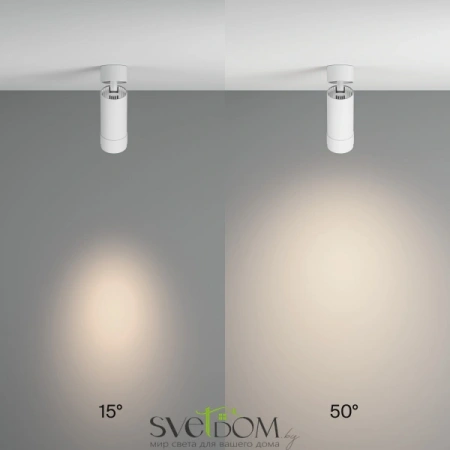 Потолочные светильники Maytoni C055CL-L12W4K-Z-W от Магазина Svetdom.by