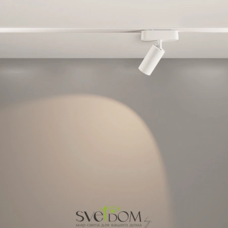 TR103-1-12W4K-M-W Maytoni