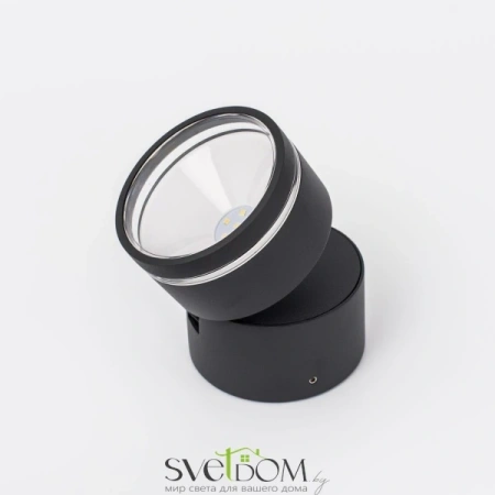 Citilux CLU0008R LED Уличный светильник поворотный Графит CITILUX