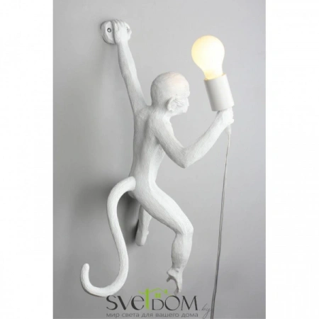 Настенные светильники APL.309.01.01 Aployt | Svetdom.by