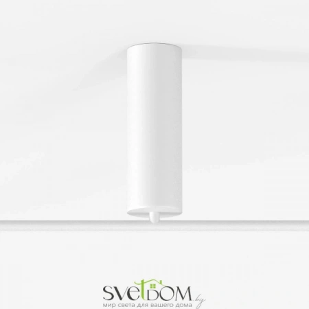 Потолочные светильники Maytoni MOD070CL-L30W3K от Магазина Svetdom.by