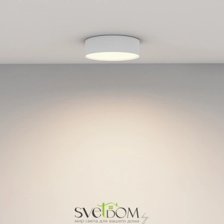 Потолочные светильники Maytoni C032CL-24W3K-RD-W от Магазина Svetdom.by