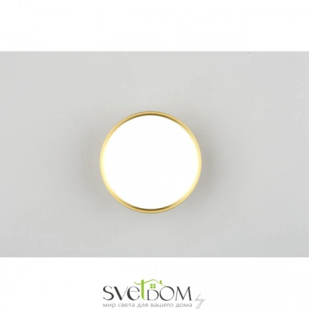 Накладные светильники Omnilux OML-100929-12 от Магазина Svetdom.by