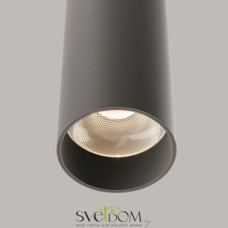 Подвесные светильники Maytoni P072PL-L12B4K-1 от Магазина Svetdom.by