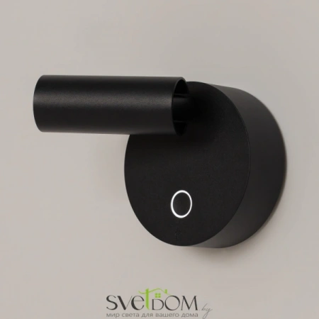 Настенные светильники C079WL-L3B3K Maytoni | Svetdom.by