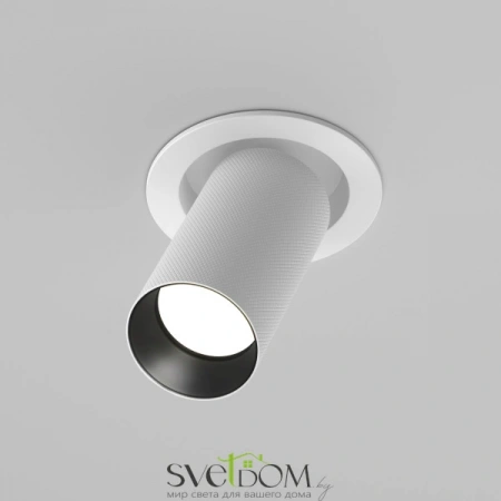 Встраиваемые светильники Maytoni C081CL-01-GU10-W от Магазина Svetdom.by