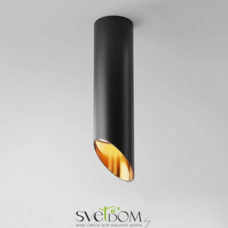 Потолочные светильники Maytoni C044CL-01-25GU10-B от Магазина Svetdom.by