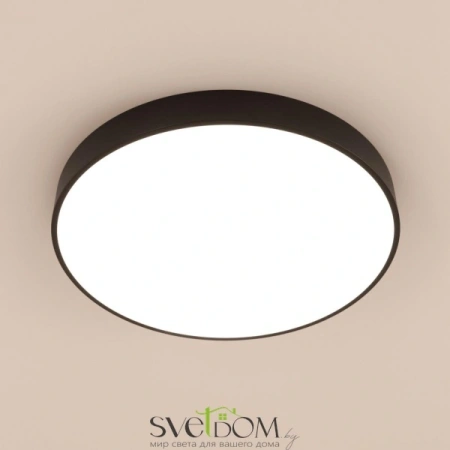 Потолочные светильники CITILUX CL72495G1 от Магазина Svetdom.by