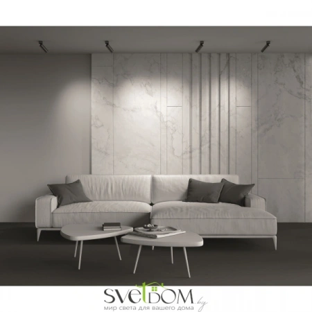 Потолочные светильники Maytoni C055CL-L12W3K-W-BS от Магазина Svetdom.by