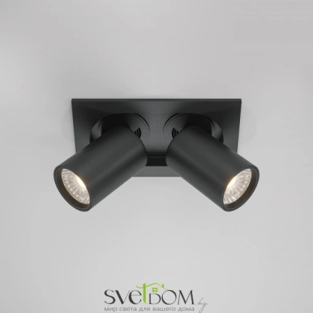 Встраиваемые светильники Maytoni DL045-02-10W4K-B от Магазина Svetdom.by