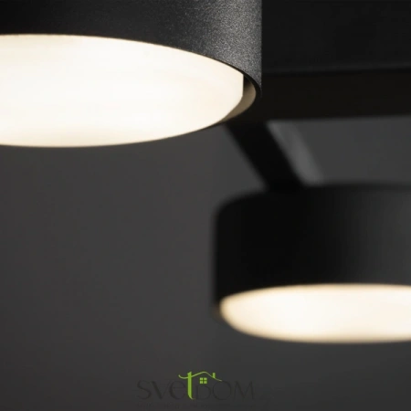 Потолочные светильники Freya FR5363CL-02B от Магазина Svetdom.by