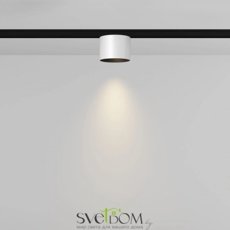 TR188-1-5W3K-M-BW Maytoni