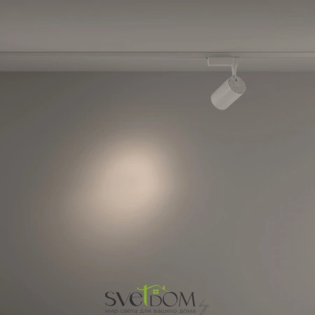 TR003-1-26W4K-S-W Maytoni