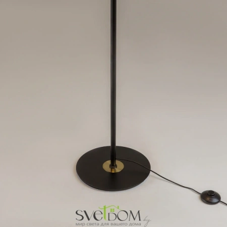 MOD348FL-L24BBS3K Maytoni