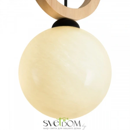 Подвесные светильники Freya FR5593PL-01B от Магазина Svetdom.by