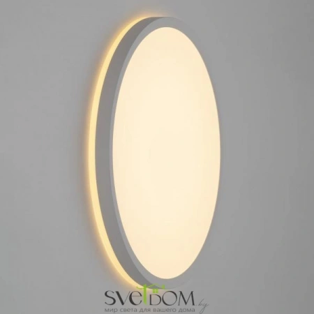 Накладные светильники CITILUX CL748320 от Магазина Svetdom.by