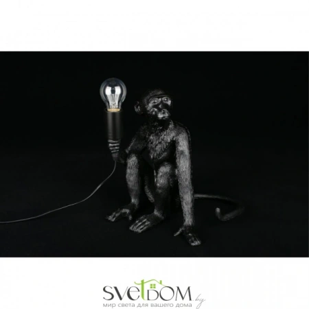 APL.309.24.01 Aployt