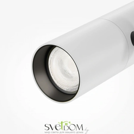 TR005-2-12W4K-BW Maytoni