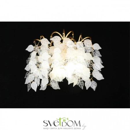 Бра APL.849.01.03 Aployt | Svetdom.by