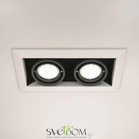 Встраиваемые светильники Maytoni DL008-2-02-W от Магазина Svetdom.by