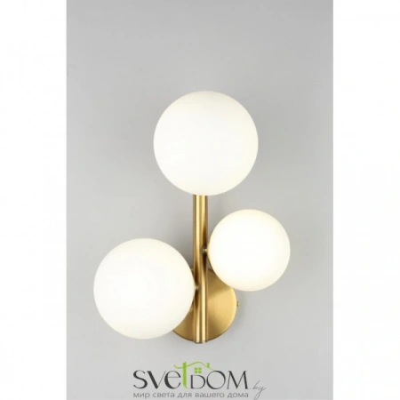 Настенные светильники APL.314.01.03 Aployt | Svetdom.by
