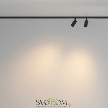 TR176-1-2X3WTW-M-B Maytoni