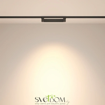 TR010-1-10W4K-M-B Maytoni