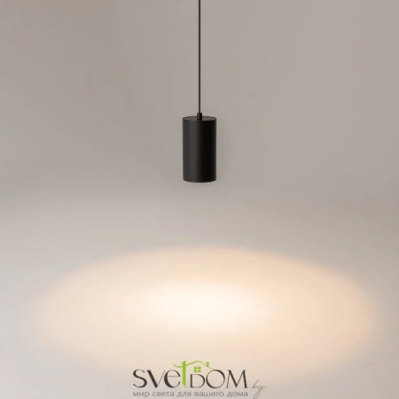 Подвесные светильники Maytoni P100PL-20W3K-B от Магазина Svetdom.by